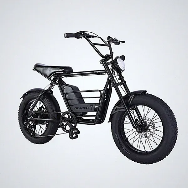 20"x4.0 Fat Tires 800W 7 Speed Electric Bike Off-Road & City Commute 48V Bike