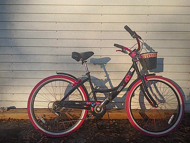 26" Susan G. Komen Cruiser Bike, Adult, Ages 12+, Black and Pink