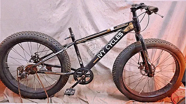 FAT BIKE Ivy Cycles Super Classic Gold Small 16.5" Steel Hardtail Disc DAMAGED!!