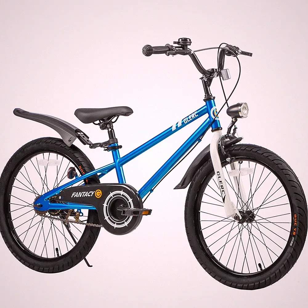 Kids Bike 20 Inch Training Wheels Headlight Water Bottle Blue Glerc 7-14 Fantacy